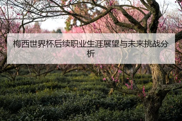 梅西世界杯后续职业生涯展望与未来挑战分析